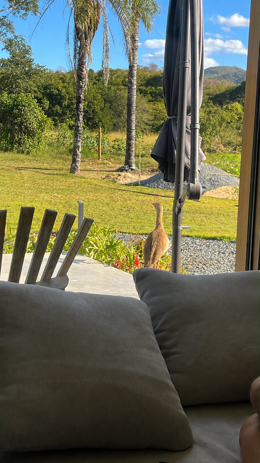 Vista da sala para o gramado e a serra